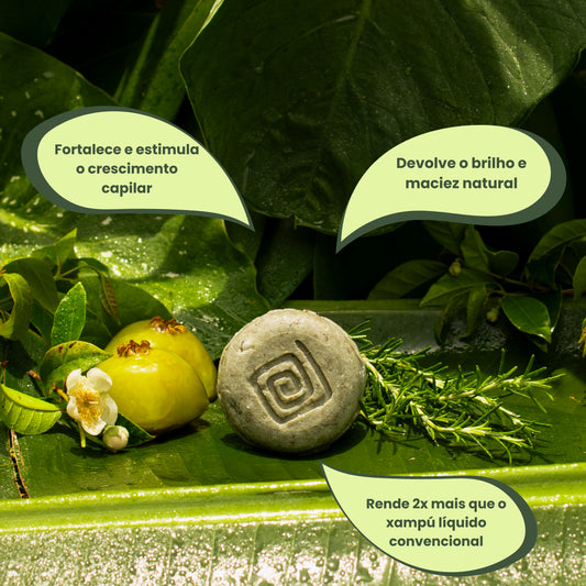 Xampú em barra natural antioleosidade