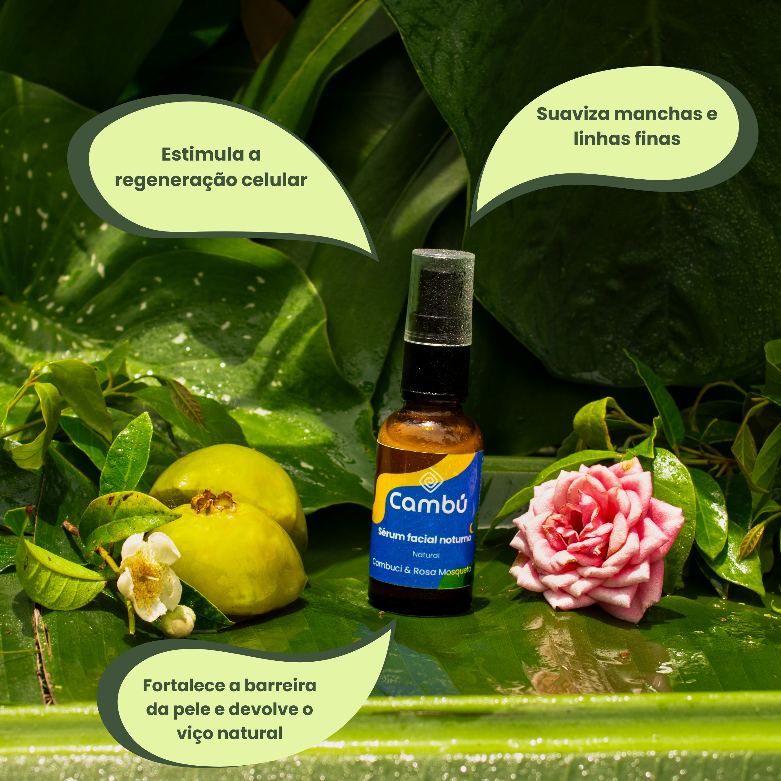 Sérum facial natural noturno