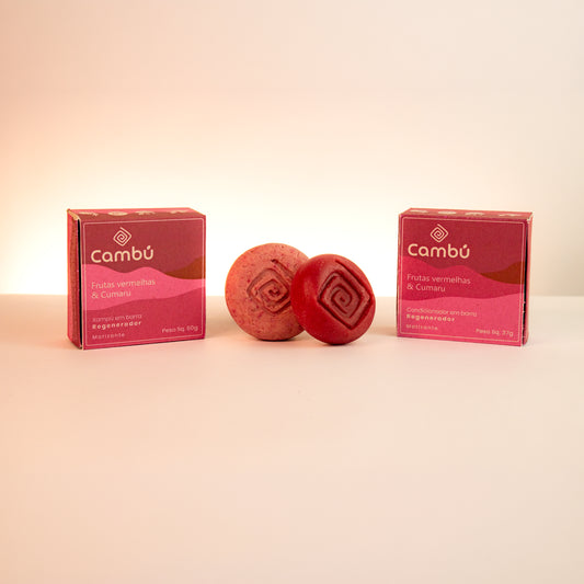 Kit regeneração capilar